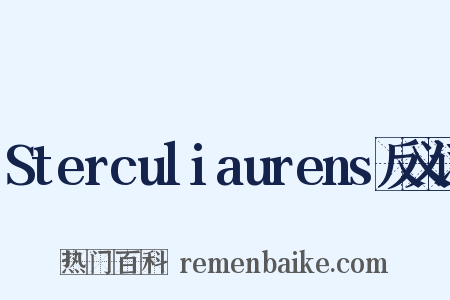 Sterculiaurens反义词是什么意思的图片